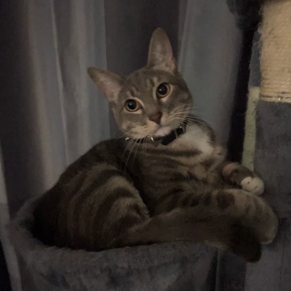 hihi 🖤 - Picture 4 of 6